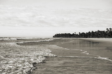 Serra Grande Bahia Authentic Tropical Landscapes Sea Coconut Trees Blue,Authentic landscape photography from Bahia, Brazil featuring the tropical beauty of Itacaré beaches with deep blue ocean