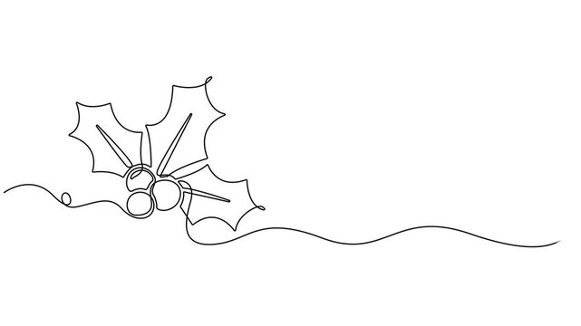 Video. Mistletoe holly drawing with one continuous line, Christmas plant in continuous line drawing style. Line art of holly leaves with berry. Vector illustration. Abstract background, full length 4k