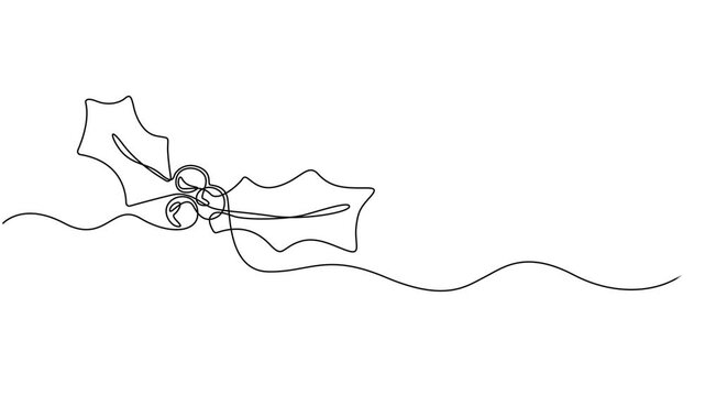Video. Mistletoe holly drawing with one continuous line, Christmas plant in continuous line drawing style. Line art of holly leaves with berry. Vector illustration. Abstract background, full length 4k