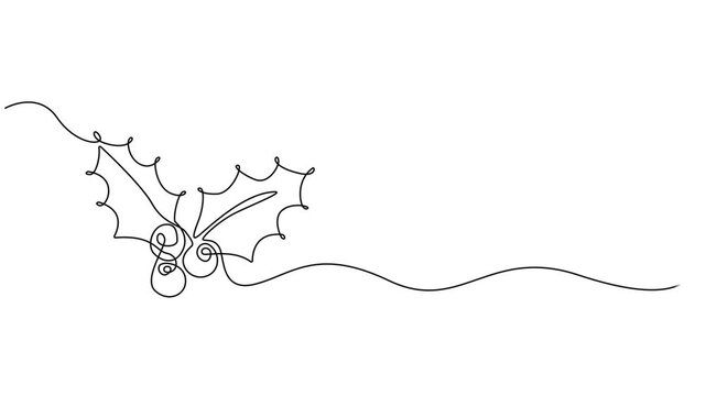 Video. Mistletoe holly drawing with one continuous line, Christmas plant in continuous line drawing style. Line art of holly leaves with berry. Vector illustration. Abstract background, full length 4k