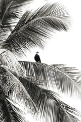 Serra Grande Bahia Authentic Tropical Landscapes Sea Coconut Trees Blue,Authentic landscape photography from Bahia, Brazil featuring the tropical beauty of Itacaré beaches with deep blue ocean