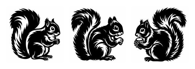 Fototapeta premium Three adorable furry squirrels in various poses captured in a striking black and white graphic style