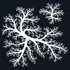White intricate branching coral silhouette on dark blue background Keywords: coral, silhouette, branches, intricate, organic, growth, nature