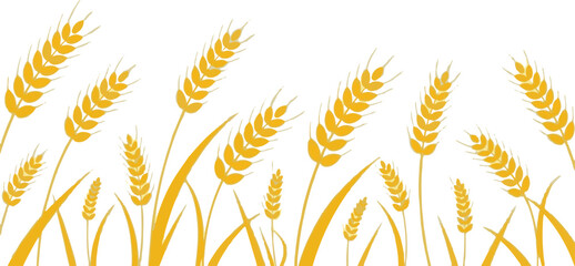 Naklejka premium Golden wheat field illustration on a white background for graphic design