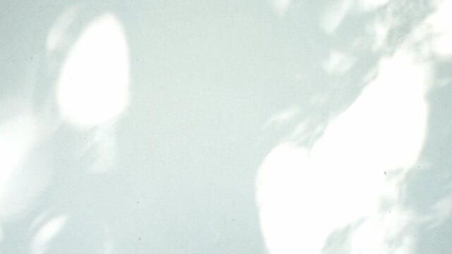 Leaves silhouette shadow motion on wall, abstract background