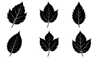 Obraz premium Botanical elegance: Black leaf silhouettes create modern, nature-inspired designs for branding, invitations, and earthy minimalist projects, originally vector graphics