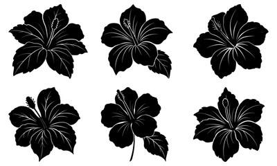 Elegant hibiscus flower silhouettes for modern designs, perfect for branding, invitations, and tropical themes, originally vector graphics