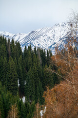 yosemite national park