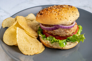turkey burger with a side of potato chips,