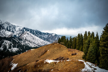 snow covered mountains