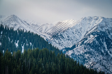 mountain landscape in winter