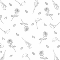 Elegant Monochrome Floral Outline Seamless Pattern