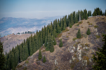 yosemite national park