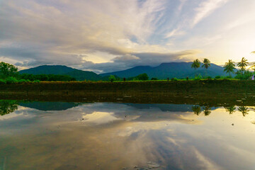 Fototapeta premium Beautiful morning view indonesia Panorama Landscape paddy fields with beauty color and sky natural light