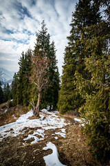 river in the mountains