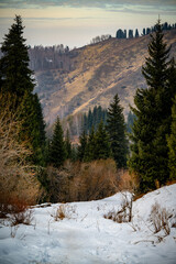 winter landscape in the mountains
