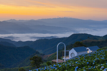 Mountain landscape with blue hydrangea flowers and small white houses at sunrise, peaceful nature scene with mist in valley