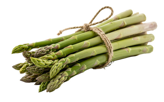Fresh green asparagus spears tied with natural twine on a black background