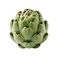 Obraz premium Leafy Artichoke Vegetable Isolated on Transparent Background 