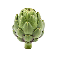 Obraz premium Whole Market-Fresh Artichoke Isolated on Transparent Background 