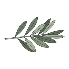 Hand-drawn olive branch with green leaves isolated vector illustration