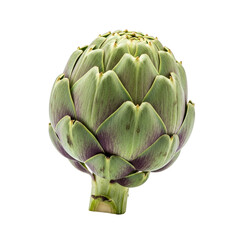 Obraz premium Raw Green Artichoke Thistle Isolated on Transparent Background 