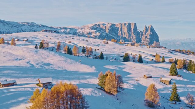 Cinematic aerial drone shot of a golden autumn trees with snow-covered peaks of the Italian Dolomites in the background. Sunrise light highlights the glowing larch trees and the dramatic mountain