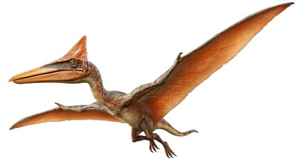 Fototapeta premium A pterosaur in mid flight showcasing its large wings and elongated beak.