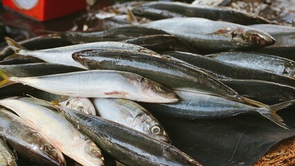 Obraz premium Freshly Caught Sardines Displayed at Market
