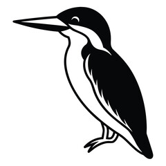 Fototapeta premium Black crowned night heron vector illustration of a black bird in nature