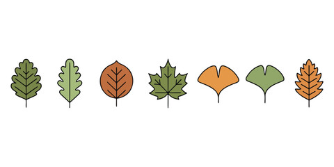 Collection of Autumn Leaf Vector Illustrations for Seasonal Design