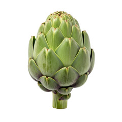 Obraz premium Natural Whole Artichoke Isolated on Transparent Background 