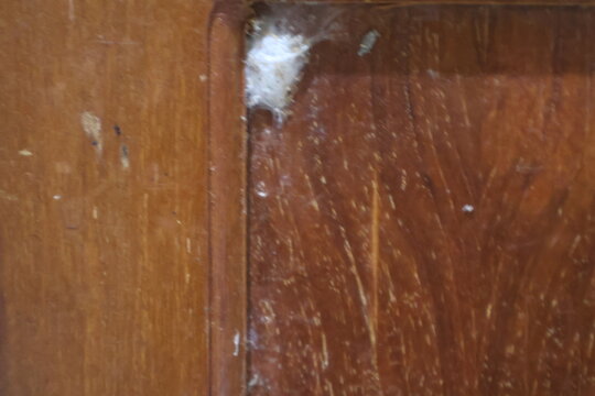 wood texture wooden  background timber