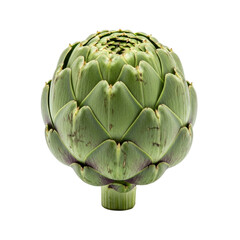 Fototapeta premium Whole Fresh Artichoke Isolated on Transparent Background 