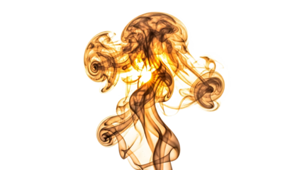 Abstract brown smoke swirls isolated on transparent background