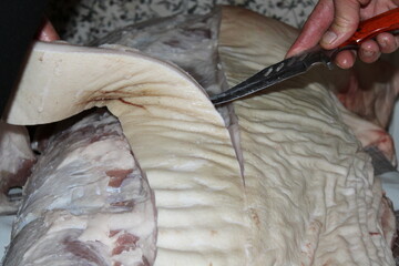 Butchering a large cut of meat at a local market with skillful hands during a bustling morning