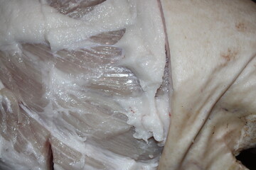 Freshly cut pork belly showing layers of meat and fat at a local market during daytime