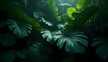 Lush green tropical foliage illuminated by soft light in a dark jungle