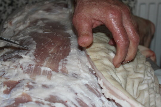 Skilled butcher expertly prepares pork side for traditional meat processing in a rustic kitchen setting - Powered by Adobe