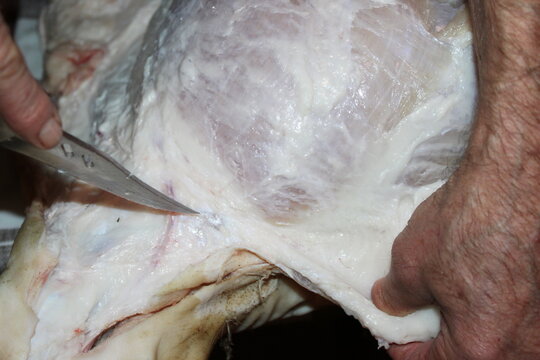 Skillful hands prepare meat in a traditional butchery setting during early morning hours