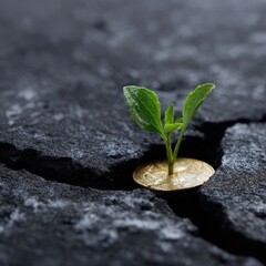 Green Sprout Growing Through a Broken Coin on Dark Surface