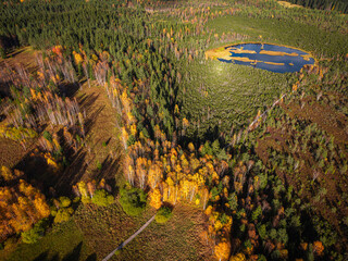 Aerial View of Autumn Forest and Bog Lake near Borov&aacute; Lada, Czech Republic