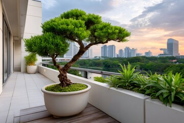 Obraz premium Bonsai tree on modern balcony overlooking urban lake at sunset