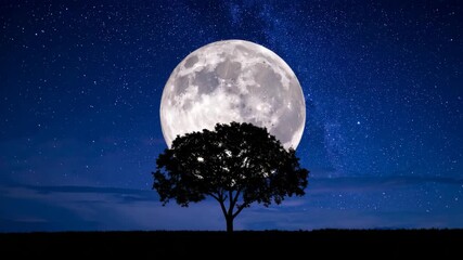 Majestic full moon illuminating starry night sky above silhouette of solitary tree in tranquil outdoor landscape - Powered by Adobe