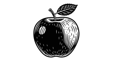 Vector illustration of detailed black and white apple drawing