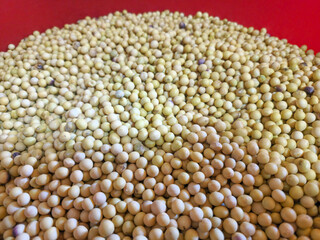 Traditional Soybean Boiling and Meju Fermentation Process