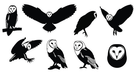 Barn owl silhouettes and detailed illustrations in various poses