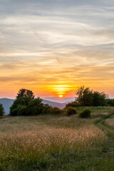 Sun setting over Budina hills and golden grass