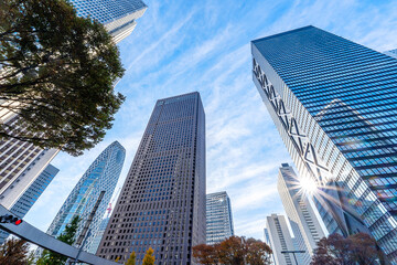 Modern skyscrapers under blue sky in an urban city center surrounded by autumn trees. Perfect for concepts of finance, business district, architecture, and metropolitan lifestyle.