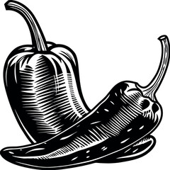 hand drawn vector illustration of an apple